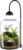 Glass Plant Terrarium with LED Grow Light, Adjustable Ventilation Desktop Indoor Planter for Venus Fly Trap, Moss & Succulents, 8.2″ Borosilicate Mini Greenhouse for Home Office Decor