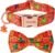 PTDECOR Halloween Dog Collar with Bow, Orange Ghost Pet Collar, Medium