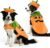 BEAUTYZOO Halloween Dog Pumpkin Costume, 2PCS Dog Halloween Costumes Cape,L