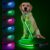 4 Ft LED Dog Leash, Light Up & Lighted Dog Leash, 7 Lighting Modes, Glow in The Dark, Reflective, Double-Sided Light, Rechargeable with Padded Handle for Night Walking Safety, Small to Large Pets