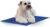 K&H Dog Cooling Mat, Coolin’ Pet Pad – Medium 20x15in Chill Blue | Portable Cooling Mat for Dogs, Travel or in Home, Perfect for Carriers, Crates, Outdoor Houses, Yards, Porches, & Pet Beds