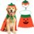 Rypet Dog Pumpkin Costume, Halloween Cape & Hat for Large X-Large Dogs, XL