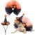 2pcs Bearded Dragon Witch Costume Set Small Pet Adjustable Hat Bow Tutu Skirt Outfits for Lizards Guinea Pigs Bunny Ferrets for Celebrations Halloween Parties (Orange)