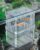 Pawfly Aquarium Breeding Box – Transparent Plastic Breeder Box for Fish Tank, Fry Hatchery Incubator for Baby Fish, Shrimp, Betta, Clownfish, Guppy, Large