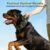 WINGOIN Tactical Dog Collars for Medium and Large Dogs, Reflective Collar | Heavy Duty Collar Matching Leash & Harness | Quick Release | AirTag Holder | Padded Nylon | Green | Training Hunting Walking