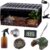 Reptile Terrarium – Amphibian Tank Starter Kit, Eco Rainforest Feeding Box, Amphibian Feeding Box, Suitable for breeding Lizards, Snakes, Chameleons,Jumping Spiders