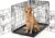 DUMOS Dog Crate, 36 Inch Medium Double Door Dog Cage with Plastic Leak-Proof Pan Tray, Handle, Folding Metal Wire Pet Kennel for Indoor, Outdoor, Travel