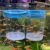 Fish Breeder Box for Fishes Tank Isolation Aquarium Separator Hatchery Incubator for Guppy Baby Betta Saltwater Clownfish Coral Aggressive or Injured Fish (Large Two-Piece Set)