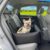 6-in-1 All-Season Waterproof Dog Car Seat, Dog Booster Seat for Small Medium Dogs, Foldable Pet Car Carrier, Travel Bed with Safety Leash, Washable Detachable Cover