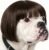 Dog Wig Costume with Adjustable Elastic Band for Small, Medium, Large Pets