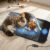 Electric Pet Cooling & Heating Pad, 33″x16″ Large Dog Ventilated Mat with Fan, Cat Heating Pad, Winter Warm Dog Pad & Cooling Cat Mat for Indoor Pet Beds & Furniture Outdoor Cat Houses, 3 Levels