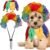 EXPAWLORER Dog Halloween Costume, 2 Pack Funny Doggie Cosplay Rainbow Jester Clown Wig with Collar, Adjustable Headwear Dress Up Holiday Apparel for Party for Small Medium Large Dogs Puppies Cats
