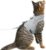 Cat Harness and Leash, Solid Grey, Medium | Escape Proof, Vest Style, Adjustable, Soft, Lightweight, bulk-free