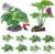10 PCS Aquarium Decorations Silk Aquarium Plants Betta Fish Tank Decor | Fish Tank Decorations Soft & Safe Artificial Plants for Betta, Goldfish, Turtle & Reptile Tanks Ornament Accessories
