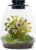 Desktop Glass Terrarium with Grow Light (H:7.8″ D:6.7″), for Succulent, Moss, Miniature Gardening Landscape, Betta Fish Tank, Indoor Plant Growth, Office Home Decoration, Plant Lovers Gifts