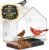 Nature Anywhere Window Bird Feeder – Weather Proof Transparent Acrylic Bird Feeders for Outdoors – Enhanced Suction Grip, Bird Watching for Cats, Easy-to-Clean, Outdoor Birdhouse Feeder (1 Unit)