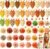 Huhumy 50 Pcs Fall Dog Bandanas & Flowers, Autumn Thanksgiving Party Decor
