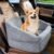 NEEZUKAR Dog Car Seat for Small Dogs,Detachable Washable Dog Booster Seat for Medium Dogs Under 30lbs, Pet Car Seat Travel Bed with Storage Pockets and Dog Safety Belt (Grey)