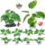 MyLifeUNIT Betta Fish Tank Decor, 10 Pack Silk Aquarium Plants for Aquarium Decoration and Fish Tank Decoration